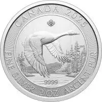  2oz Royal Canadian Mint Canada Goose Minted Silver Coin