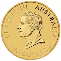  1oz Perth Mint Kangaroo Coin